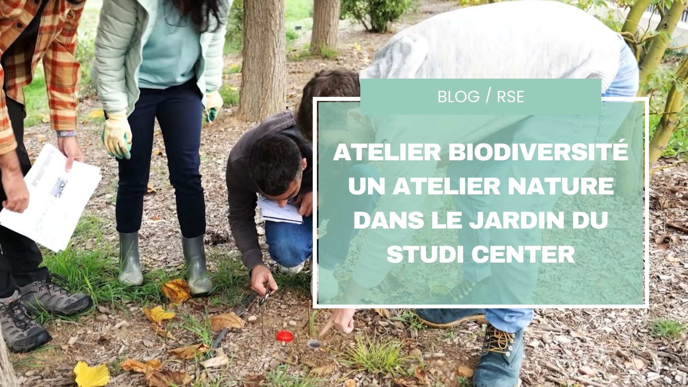 Atelier biodiversité un atelier nature dans le jardin du Studi Center